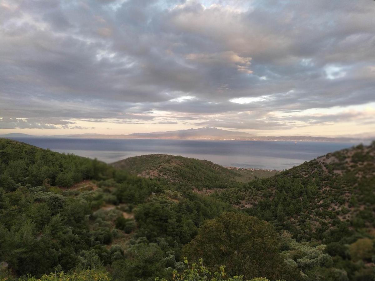 Eden View Apartment Sotir Bagian luar foto