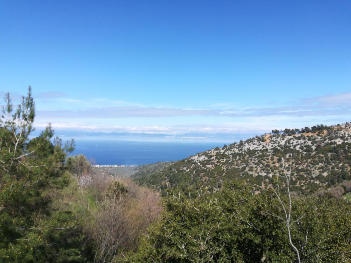 Eden View Apartment Sotir Bagian luar foto