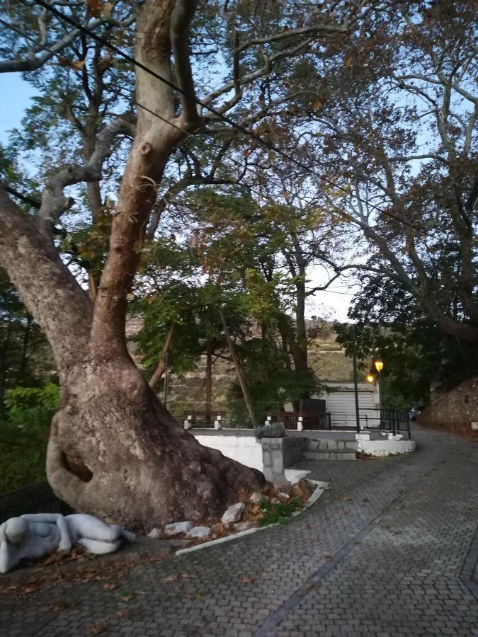 Eden View Apartment Sotir Bagian luar foto